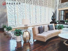 綠植里的共享經(jīng)濟&mdash;&mdash;西安綠植租擺服務