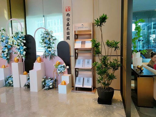 西安商場花卉綠植租擺價格|西安嘉禾苗圃