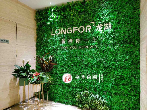 商場(chǎng)花卉租賃|西安嘉禾苗圃