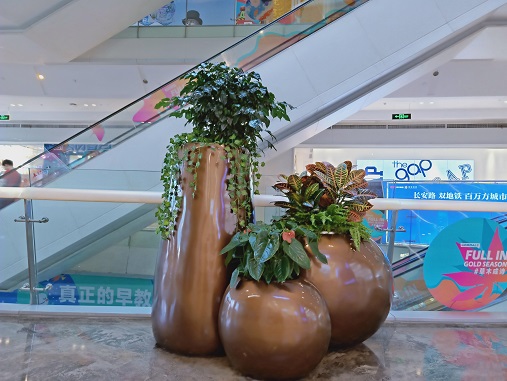 西安商場花卉綠植租賃價格|西安嘉禾苗圃 西安商場花卉綠植租賃價格|西安嘉禾苗圃