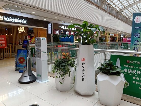 西安商場(chǎng)綠植租賃景觀設(shè)計(jì)|西安嘉禾苗圃