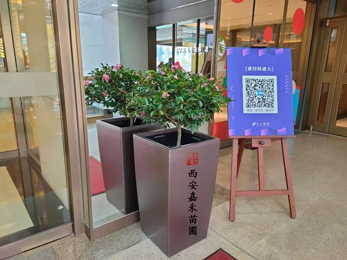 西安商場(chǎng)花卉租賃商家|西安嘉禾苗圃 西安商場(chǎng)花卉租賃商家|西安嘉禾苗圃