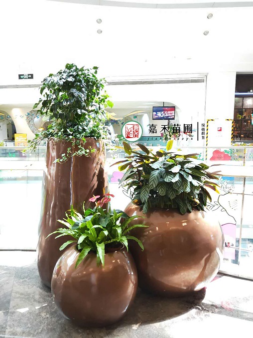 西安商場(chǎng)花卉租擺：西安嘉禾苗圃